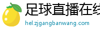 足球直播在线直播观看免费直播吧